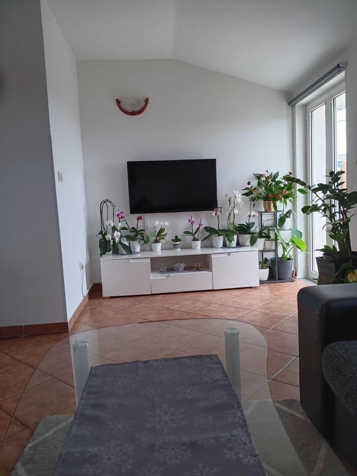 Apartman Sara Rovinj Exterior photo